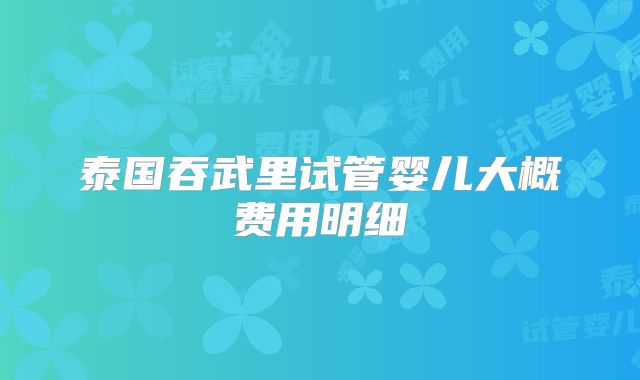 泰国吞武里试管婴儿大概费用明细
