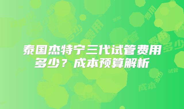 泰国杰特宁三代试管费用多少？成本预算解析