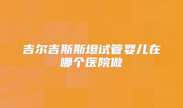 吉尔吉斯斯坦试管婴儿在哪个医院做