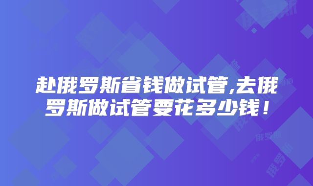 赴俄罗斯省钱做试管,去俄罗斯做试管要花多少钱！