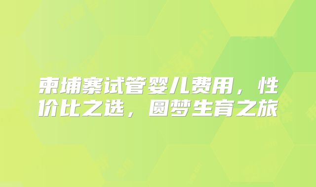 柬埔寨试管婴儿费用,性价比之选,圆梦生育之旅