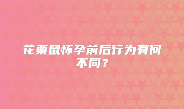 花栗鼠怀孕前后行为有何不同？