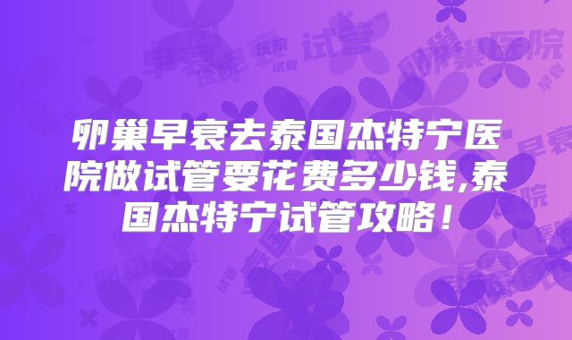 卵巢早衰去泰国杰特宁医院做试管要花费多少钱,泰国杰特宁试管攻略!