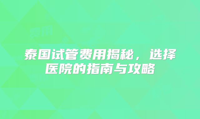 泰国试管费用揭秘，选择医院的指南与攻略