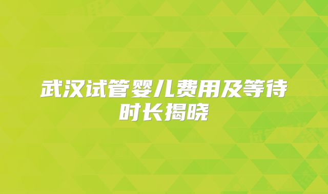 武汉试管婴儿费用及等待时长揭晓