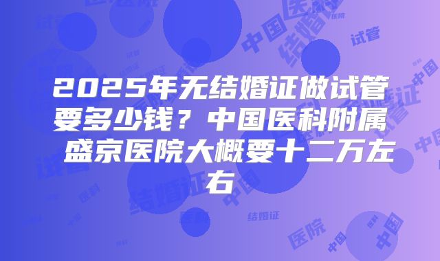 2025年无结婚证做试管要多少钱？中国医科附属 盛京医院大概要十二万左右
