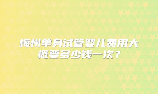 梅州单身试管婴儿费用大概要多少钱一次？