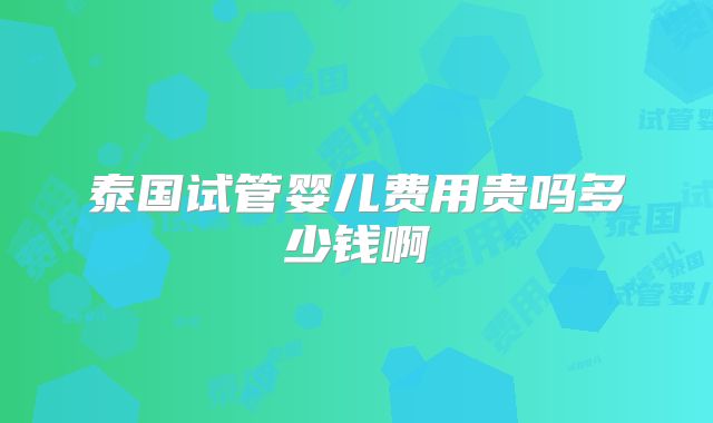 泰国试管婴儿费用贵吗多少钱啊
