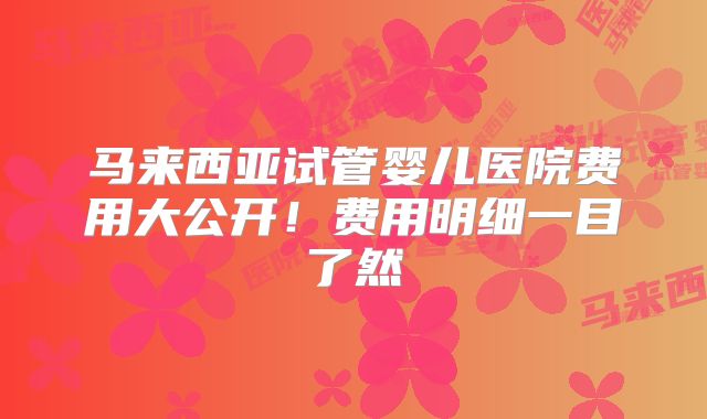 马来西亚试管婴儿医院费用大公开！费用明细一目了然