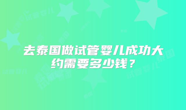 去泰国做试管婴儿成功大约需要多少钱？