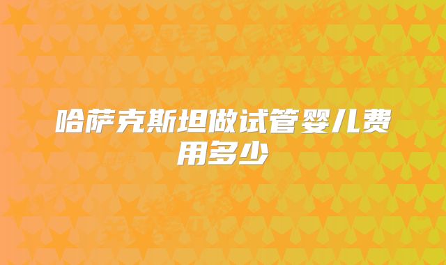 哈萨克斯坦做试管婴儿费用多少