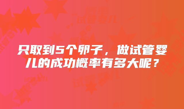 只取到5个卵子，做试管婴儿的成功概率有多大呢？