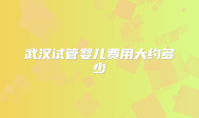 武汉试管婴儿费用大约多少