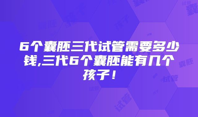 6个囊胚三代试管需要多少钱,三代6个囊胚能有几个孩子！