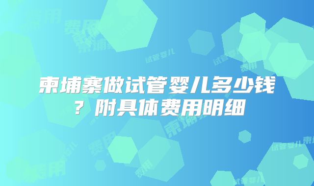 柬埔寨做试管婴儿多少钱?附具体费用明细