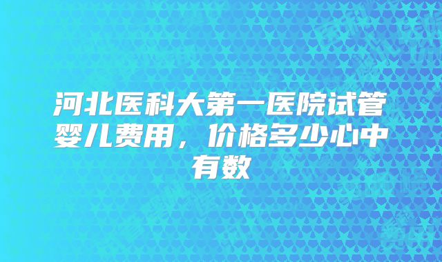 河北医科大第一医院试管婴儿费用,价格多少心中有数