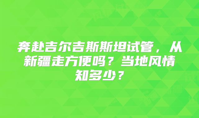 奔赴吉尔吉斯斯坦试管,从新疆走方便吗?当地风情知多少?