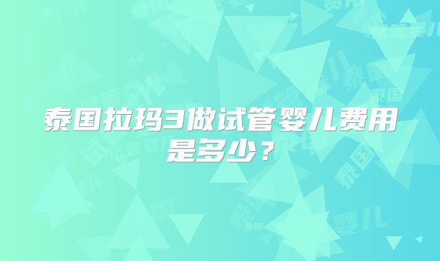泰国拉玛3做试管婴儿费用是多少？