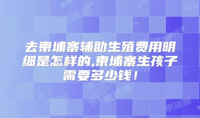 去柬埔寨辅助生殖费用明细是怎样的,柬埔寨生孩子需要多少钱！