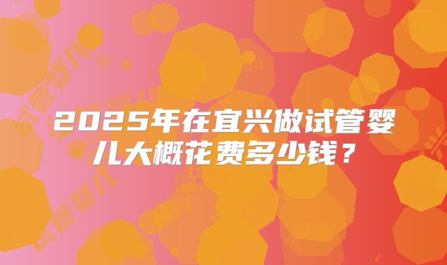 2025年在宜兴做试管婴儿大概花费多少钱？