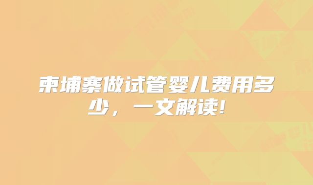 柬埔寨做试管婴儿费用多少,一文解读!