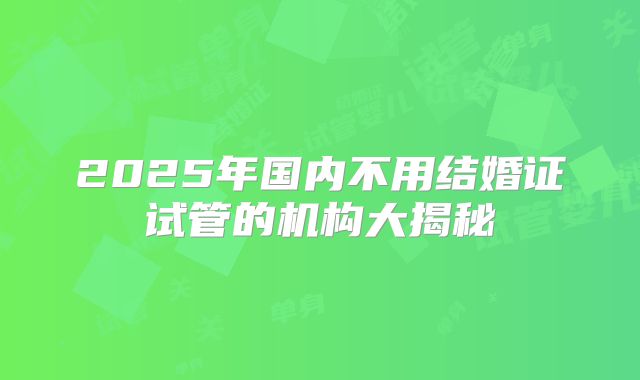 2025年国内不用结婚证试管的机构大揭秘