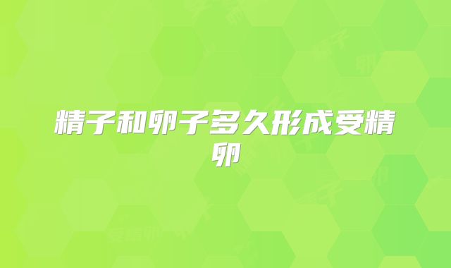 精子和卵子多久形成受精卵