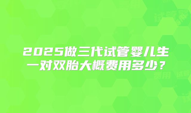 2025做三代试管婴儿生一对双胎大概费用多少?