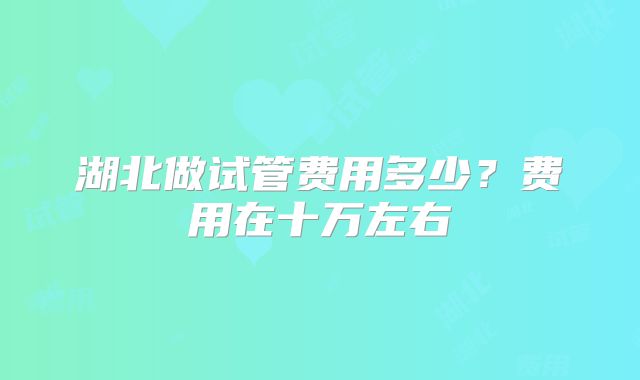 湖北做试管费用多少?费用在十万左右