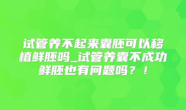 试管养不起来囊胚可以移植鲜胚吗_试管养囊不成功鲜胚也有问题吗？！