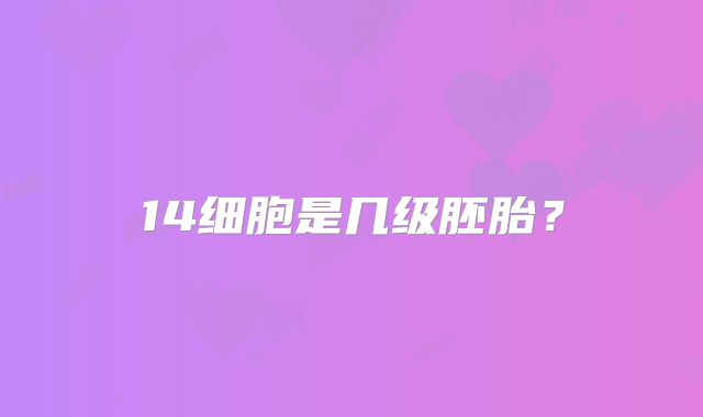 14细胞是几级胚胎？