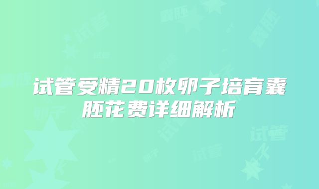 试管受精20枚卵子培育囊胚花费详细解析