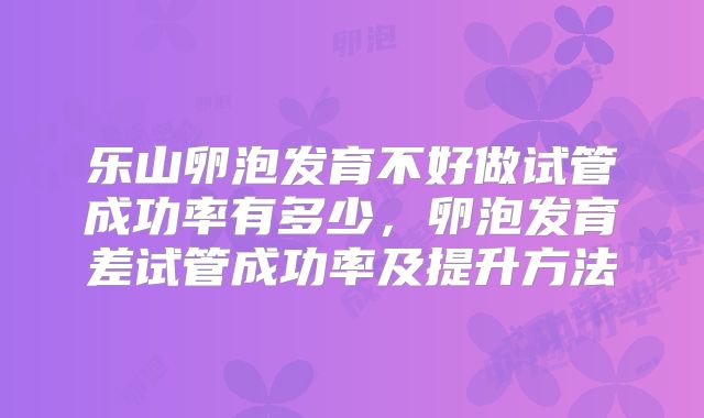 乐山卵泡发育不好做试管成功率有多少，卵泡发育差试管成功率及提升方法
