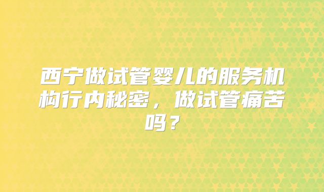 西宁做试管婴儿的服务机构行内秘密，做试管痛苦吗？