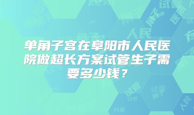 单角子宫在阜阳市人民医院做超长方案试管生子需要多少钱？