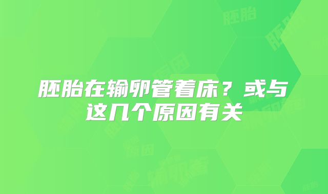 胚胎在输卵管着床?或与这几个原因有关