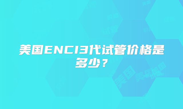 美国ENCI3代试管价格是多少?