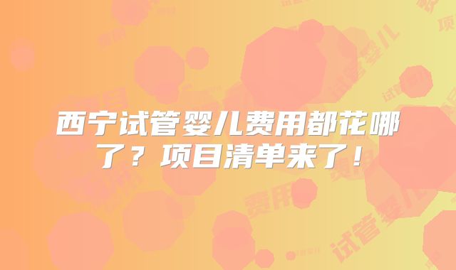 西宁试管婴儿费用都花哪了?项目清单来了!