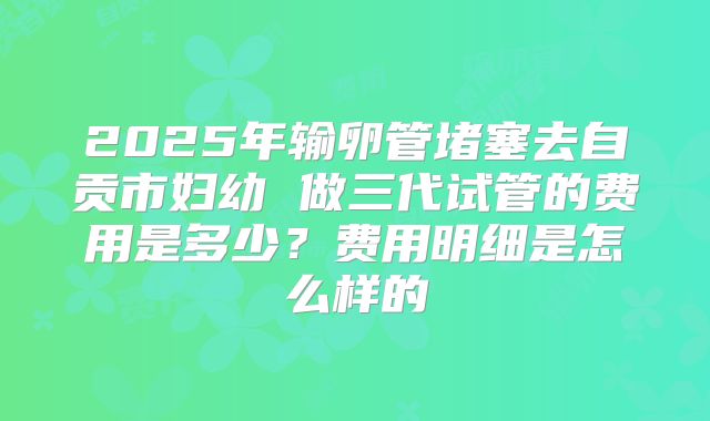 2025年输卵管堵塞去自贡市妇幼 做三代试管的费用是多少？费用明细是怎么样的