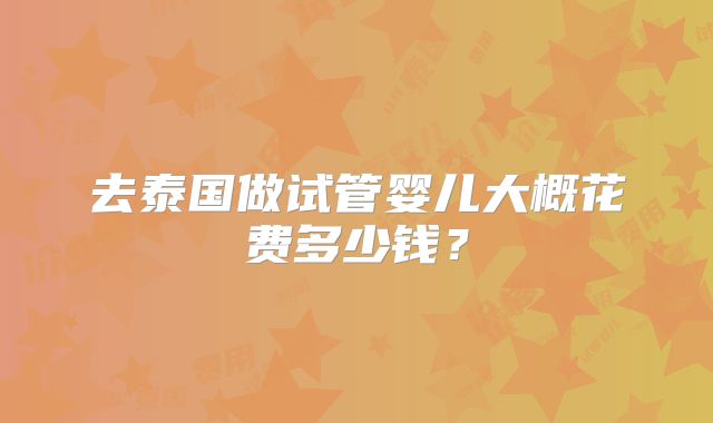 去泰国做试管婴儿大概花费多少钱?