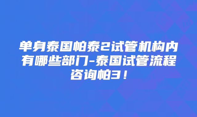 单身泰国帕泰2试管机构内有哪些部门-泰国试管流程咨询帕3!
