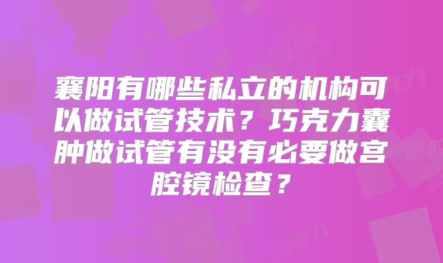 襄阳有哪些私立的机构可以做试管技术？巧克力囊肿做试管有没有必要做宫腔镜检查？