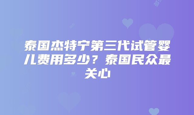 泰国杰特宁第三代试管婴儿费用多少？泰国民众最关心