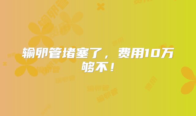 输卵管堵塞了,费用10万够不!