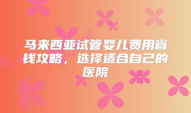 马来西亚试管婴儿费用省钱攻略,选择适合自己的医院