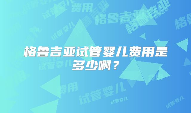 格鲁吉亚试管婴儿费用是多少啊？