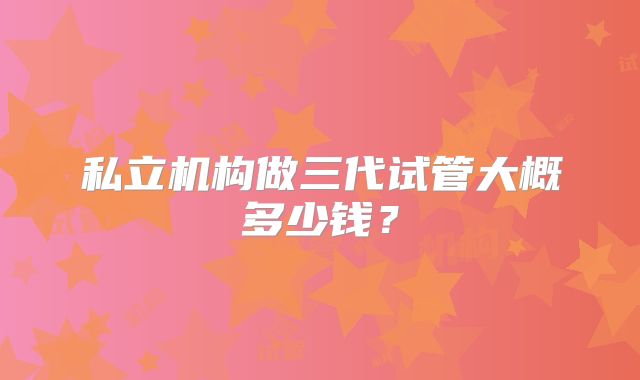 私立机构做三代试管大概多少钱?
