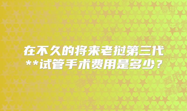 在不久的将来老挝第三代**试管手术费用是多少？