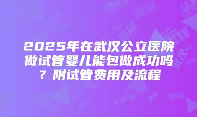 2025年在武汉公立医院做试管婴儿能包做成功吗？附试管费用及流程