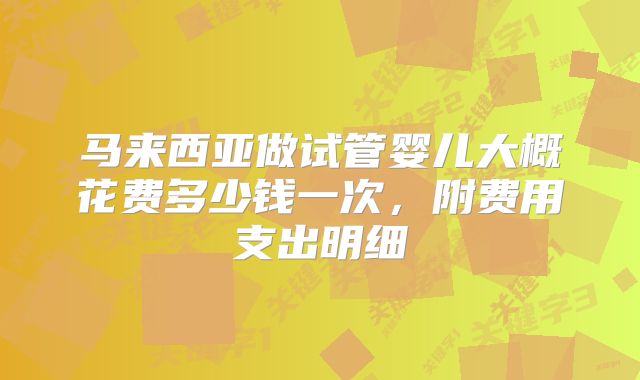 马来西亚做试管婴儿大概花费多少钱一次，附费用支出明细